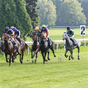 Aintree - Ladies Day 