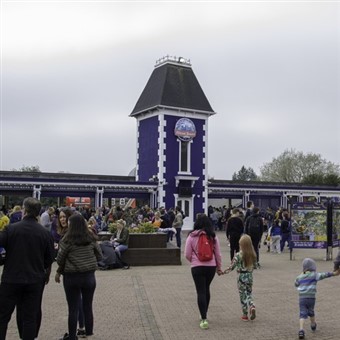 Alton Towers Star Gazing