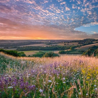 Beautiful South Downs