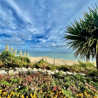 Bournemouth and the New Forest