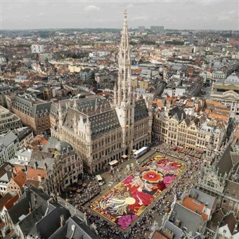 Brussels - Carpet of Flowers