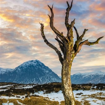 Christmas in Scotland