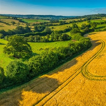 A Cotswolds Country Farm & Regency Cheltenham