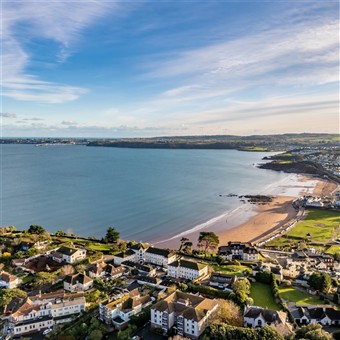 Delve into Devon