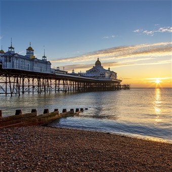Eastbourne Holly & Mistletoe