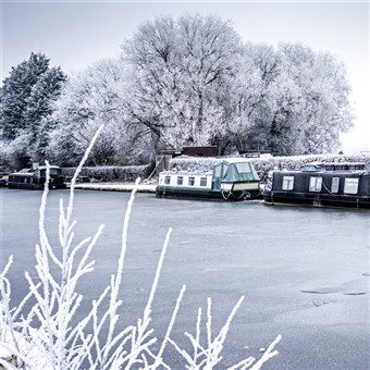 Cheshire & Lancashire Festive Cruise, Bright Light