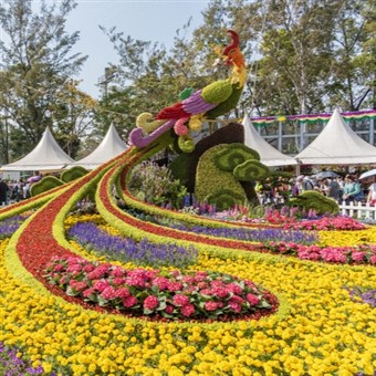 RHS Flower Show - Wentworth Woodhouse 2025