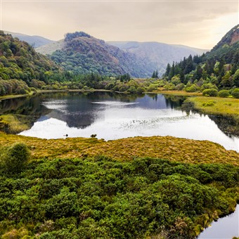 Irelands Ancient East & Beyond the Trees