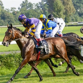 The Grand National & Liverpool