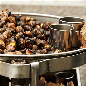 Highlights of Southern Shires