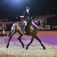 Horse of the Year Show & Birmingham 