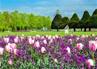 RHS Wisley Spring Fair and Hampton Court Palace