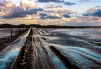 Northumberland Coast - Holy Island, Kielder Forest