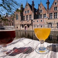 Drink in Historic Bruges