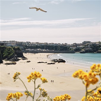 The best of the Cornish Coast