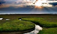 Norfolk Broads & Wensum Valley