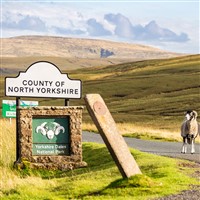 Yorkshire Dales & Aysgarth