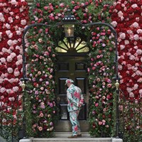 RHS Chelsea Flower Show & London