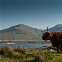 Scottish Highlands & Inverness Superdeal