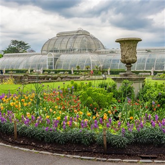 Kew Gardens, Savill Garden and Hampton Court