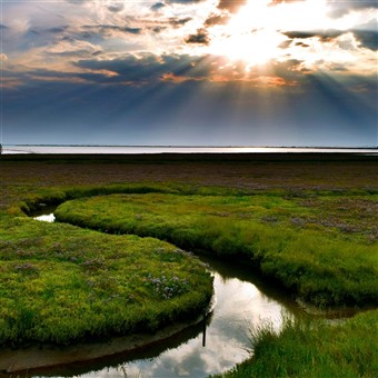 Norfolk Broads & Wensum Valley