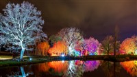 RHS Glow Illuminations and Windsor Castle