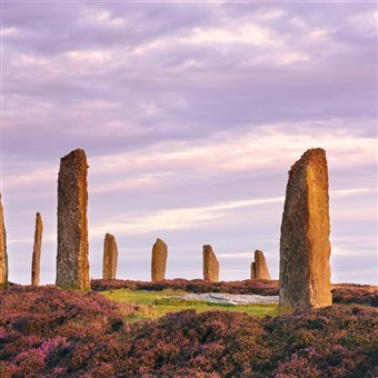 Orkney Wild Explorer