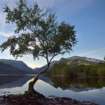 Splendid Snowdonia