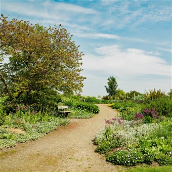 Suffolk Coast and Gardens