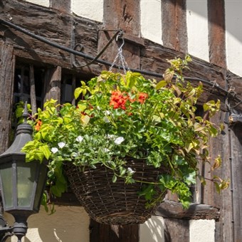 Suffolk Tranquil Villages and Coast