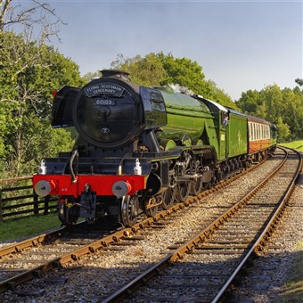 Sussex Steam and Seaside Charms 