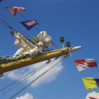 Tall Ships of Antwerp 