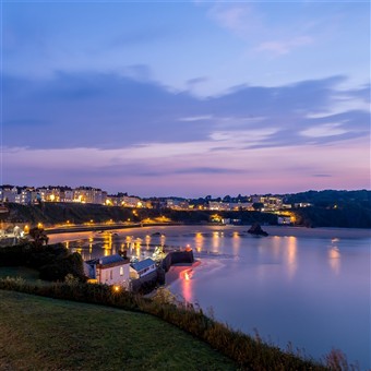 Tenby & Cardigan Coast Turkey and Tinsel